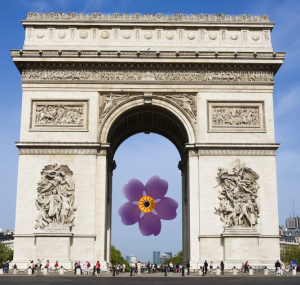 Arc de triomphe Paris