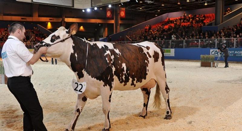 Salon de l'Agriculture 2016