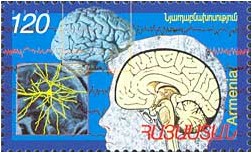 Image représentant le cerveau humain