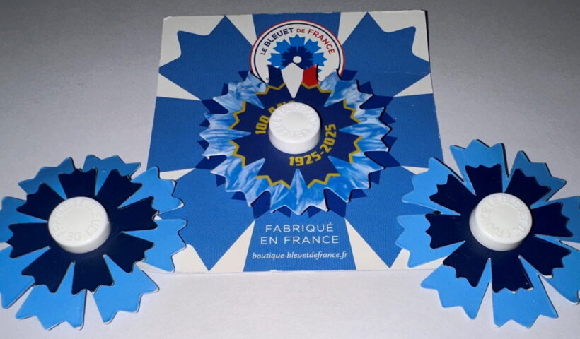 Coquelicot ou bleuet : le 11 novembre, deux fleurs pour commémorer l'armistice et les histoires parallèles de la Grande Guerre