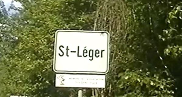 Un chiot illégalement importé du Portugal placé sous surveillance à Saint-Léger-sous-Cholet : un risque de rage redouté ce vendredi 28 novembre 2025