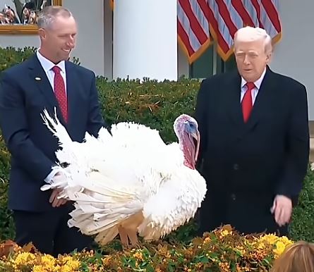 Trump s’en prend violemment aux démocrates lors de la cérémonie de pardon des dindes à la Maison Blanche ce mercredi 26 novembre 2025