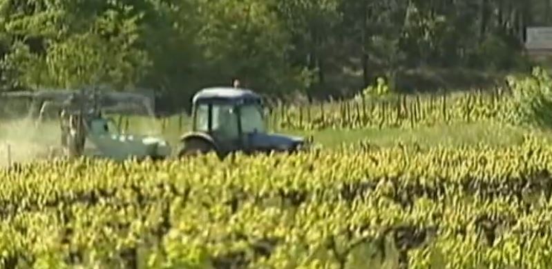 Baromètre des pesticides : une étude révèle l'exposition potentielle autour des écoles en France ce jeudi 18 décembre 2025