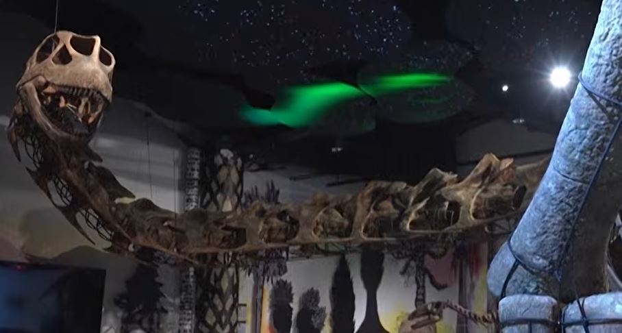 Un nouveau dinosaure géant découvert en Thaïlande : le Nagatitan chaiyaphumensis, un herbivore préhistorique vieux de 100 à 200 millions d'années ce vendredi 15 mai 2026