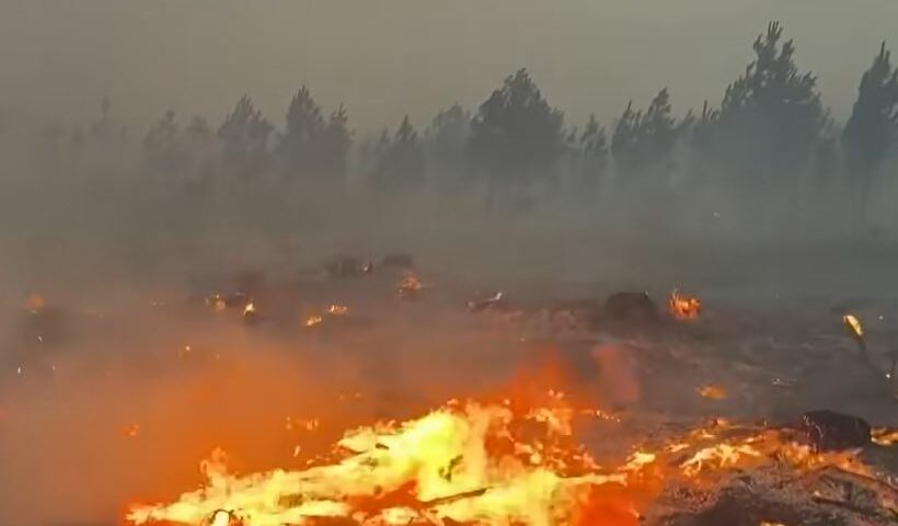 Incendies en Gironde : la chaleur de retour menace de ravager davantage de terres, 42 000 hectares déjà touchés ce mardi 28 juillet 2026