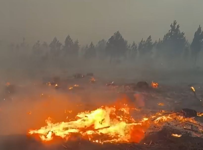 Incendies en Gironde : la chaleur de retour menace de ravager davantage de terres, 42 000 hectares déjà touchés ce mardi 28 juillet 2026