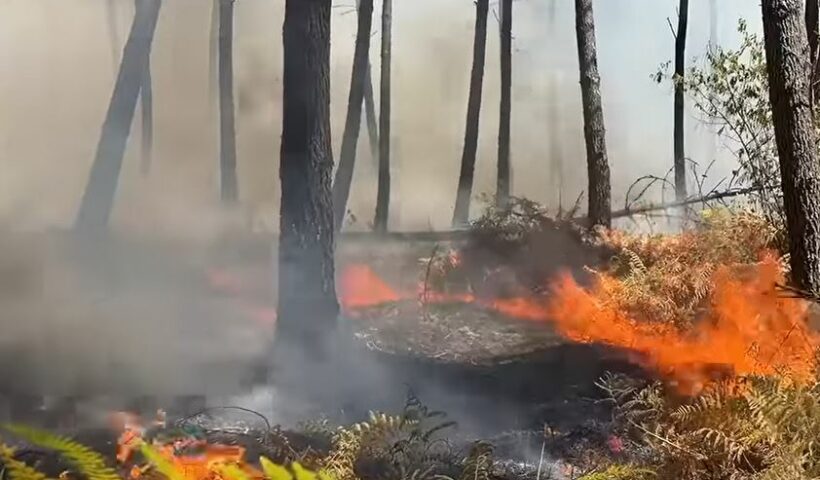 Mégafeu en Gironde : 42 000 hectares ravagés, la situation stabilisée et des conditions météo favorables en vue ce jeudi 30 juillet 2026