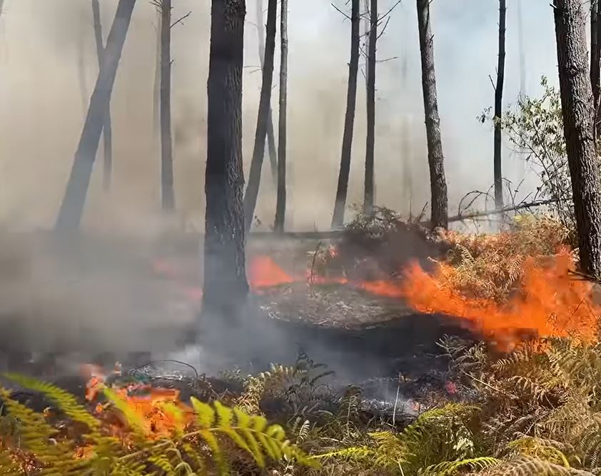 Mégafeu en Gironde : 42 000 hectares ravagés, la situation stabilisée et des conditions météo favorables en vue ce jeudi 30 juillet 2026