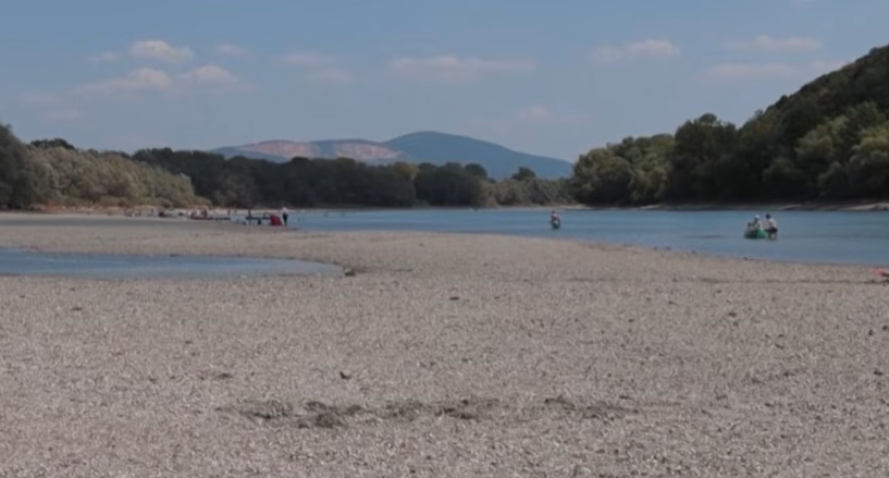Sécheresse sur le Rhin : pénurie d’essence en Alsace et un week-end caniculaire pour 46 millions de Français ce vendredi 14 août 2026